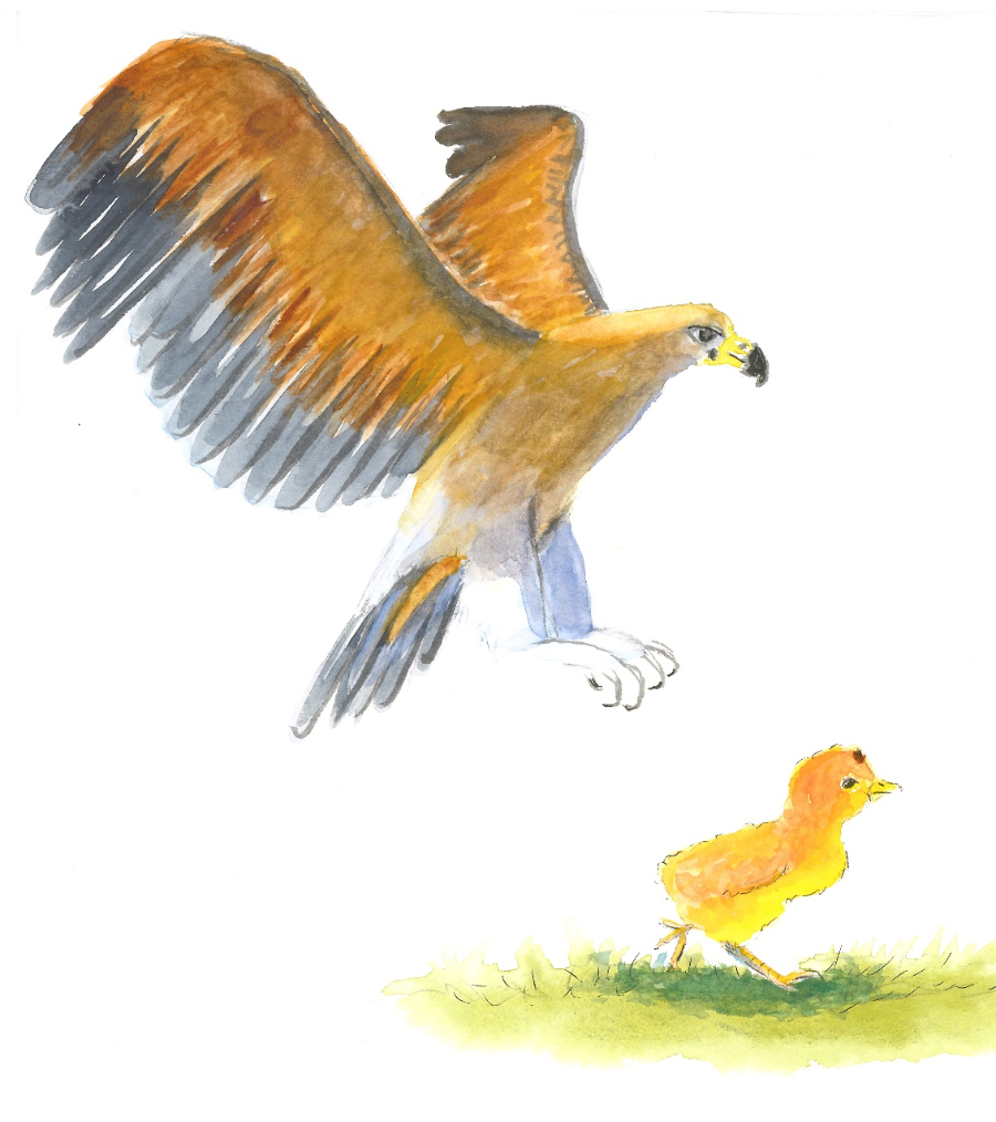 Main Image Supporting the Content of Things to Think About #1